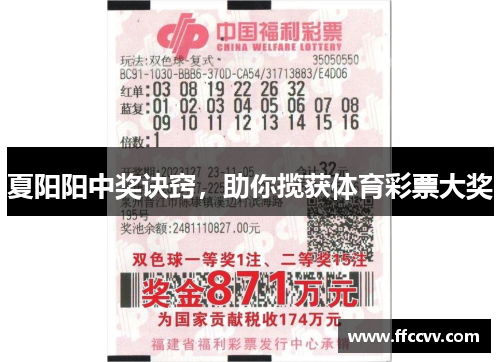 夏阳阳中奖诀窍，助你揽获体育彩票大奖